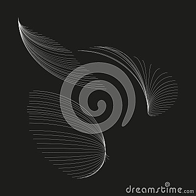 Abstract flowing lines. Dynamic curved shapes. Elegant movement illustration. Black background vector. Vector Illustration