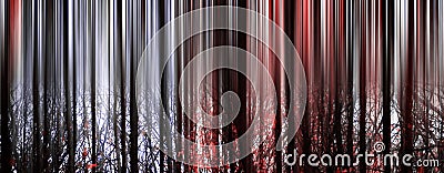 Abstract Forest Stock Photo