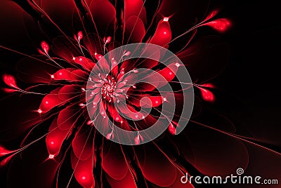 Abstract fractal flower,red on a black background Stock Photo