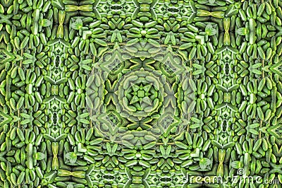 Abstract fractal kaleidoscope cucumber background Cucumber harvest. many cucumbers. cucumbers from the field Stock Photo