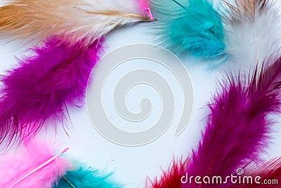 Abstract frame of colored feathers Stock Photo