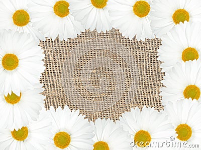 Abstract frame with white flowers Stock Photo