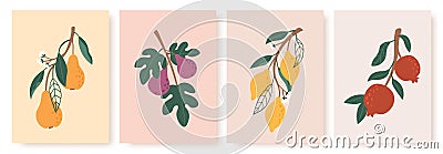 Abstract fruit poster. Modern prints with summer fruits, leaves and flowers. Lemon, pear and fig branches in minimalist Vector Illustration