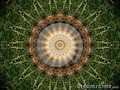 Abstract fur and grass mandala Stock Photo