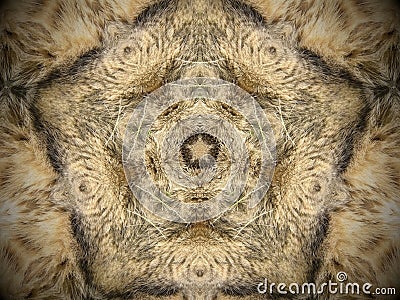 Abstract fur and grass mandala Stock Photo