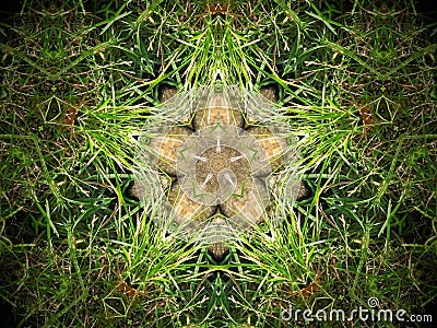 Abstract fur and grass mandala Stock Photo