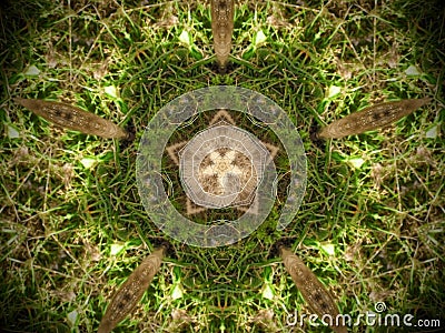 Abstract fur and grass mandala Stock Photo