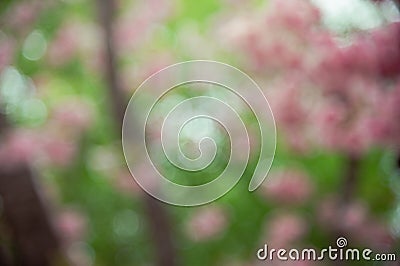 Abstract fuzzy facula background Stock Photo