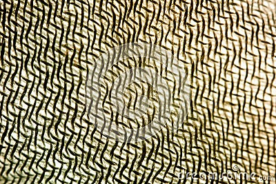 Abstract geometric illusory background of tissue threads macro Stock Photo