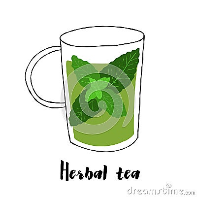 Abstract glass cup illustration with herbal mint tea on a white background Cartoon Illustration