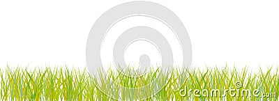 Abstract Grass on White Stock Photo