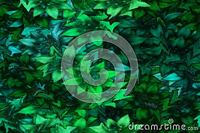 Abstract grassy background. Copy space for design. Contemporary art surface design style. background for Packaging wrap paper, Stock Photo