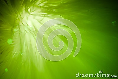 Abstract green background Stock Photo