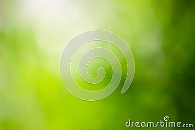 Abstract green background with bright sunlight. Stock Photo