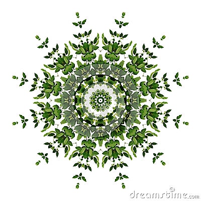 Abstract green background flora mandala pattern, wild climbing v Stock Photo