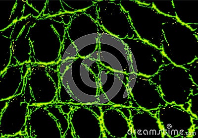 Abstract green background, interesting structure pattern Vector Illustration