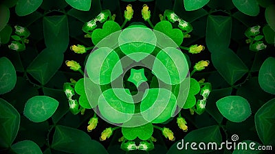 Abstract green flower mandala Stock Photo