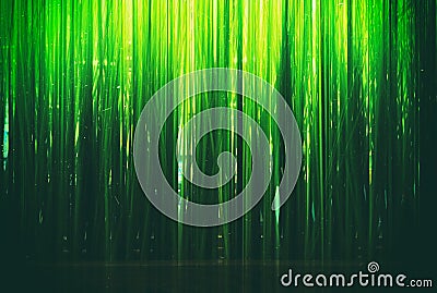 Abstract green grass on film scan background Stock Photo