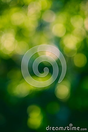 abstract green nature bokeh Background Stock Photo