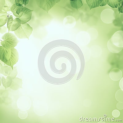 Abstract greenery foliage sunlight background Stock Photo