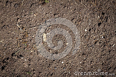 Abstract ground texture background Stock Photo