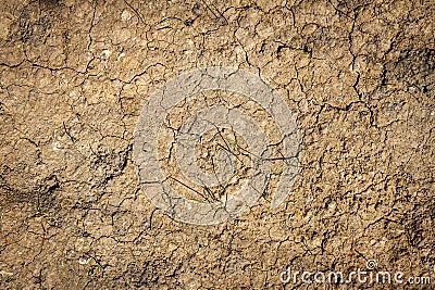 Abstract ground texture background Stock Photo