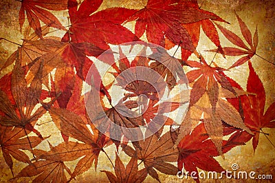 Abstract grunge autumn background with leaves Stock Photo