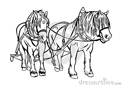 Draft horse vector drawing ~ Vector Illustration
