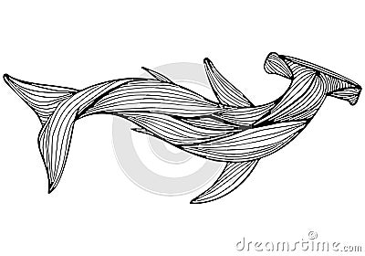 Abstract hand drawn giant hammer shark isolated on white background. illustration. Outline. Line art. Top view Cartoon Illustration