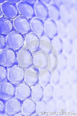 Abstract honeycomb cells pattern in violet blue tones Stock Photo