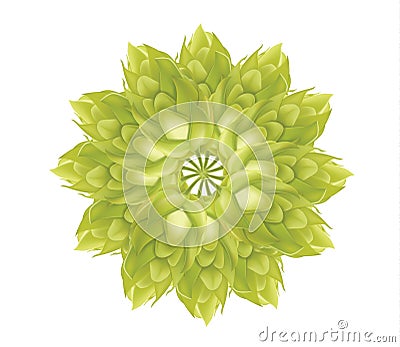 Abstract Hop flower plant 3d vector icon isolated on white background. Hops beer vector illustration. Vector Illustration