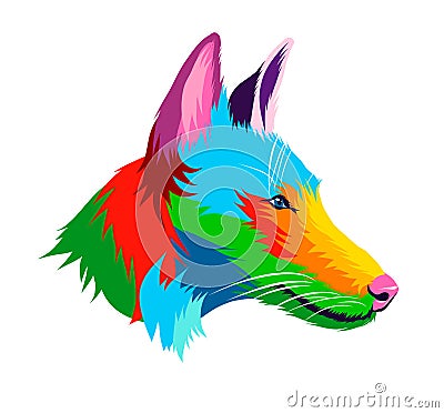 Abstract Ibizan Hound, Podenco ibicenco dog head portrait from multicolored paints Vector Illustration