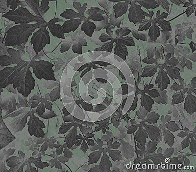 Abstract illustration, dark green background with jagged black leaf pattern01 Cartoon Illustration