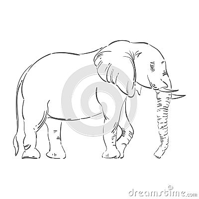 Abstract illustration of an elephant. Vector Illustration