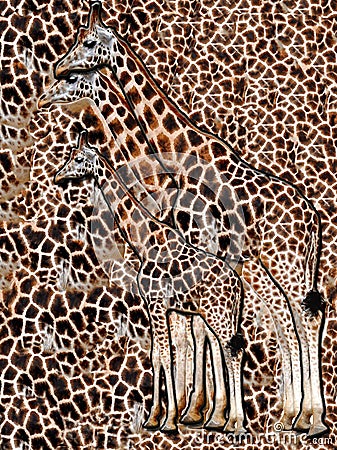 Abstract illustration of giraffe and animal seamless pattern. Color graphics. Design for background, wallpaper, covers and packagi Stock Photo