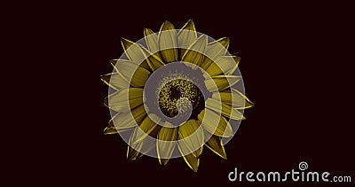 Abstract illustration of an isolated gerbera daisy flower bloom top view in yellow on black background. Cartoon Illustration