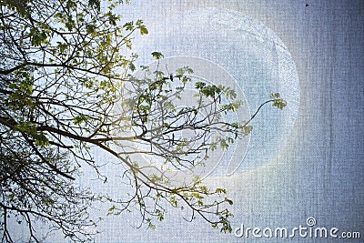Abstract image art paper and the full moon Stock Photo