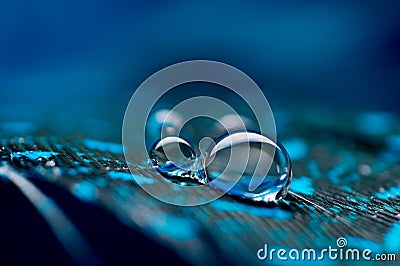 A abstract image of blue color fluffy feathers with two macro water dew drop, beautiful natural background. Stock Photo