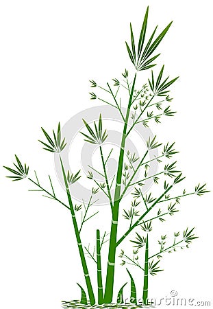 Abstract image. 1 clump of bamboo, cartoon image, in white background Cartoon Illustration