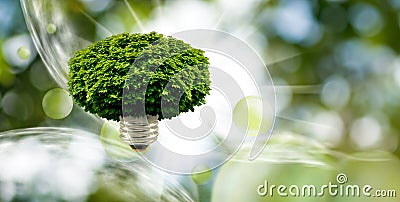 Abstract image of a tree crown and a light bulb base attached to it, forming a hybrid of a tree and a light bulb Stock Photo