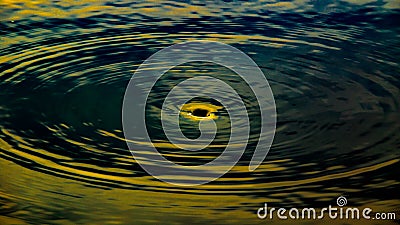 Abstract image of whirlpool hole of water at lake or pond like a blackhole in universe. Stock Photo