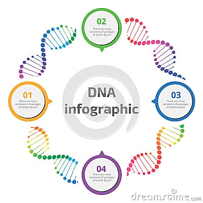 Abstract infographic DNA Vector Illustration