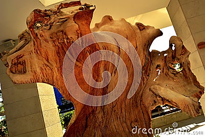 Abstract installation of a huge brown tree root Stock Photo