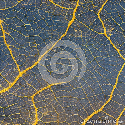 An abstract interpretation of a liA digital interpretation of a marble texture, with intricate patterns and veins resembling the Stock Photo