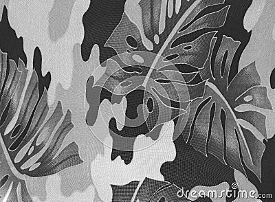 Abstract leaves of rubber-plant. Stock Photo