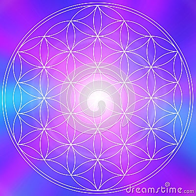 Life flower mandala Stock Photo