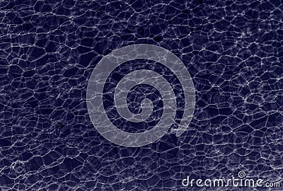 Abstract macro bubbles background Stock Photo