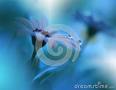 Beautiful Blue Nature Background.Spring Flower.Ocean Concept,water.Tranquil Abstract Closeup Art Photography.Floral Design.Plant. Stock Photo