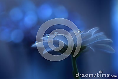 Beautiful Nature.Abstract macro,water drops.Artistic Background,desktop.Magic Blue Wallpaper.Flowers,pastel tones.Colorful Art. Cartoon Illustration