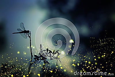 Abstract and magical image of dragonfly silhouette and Firefly flying in the night forest. Fairy tale concept. Stock Photo